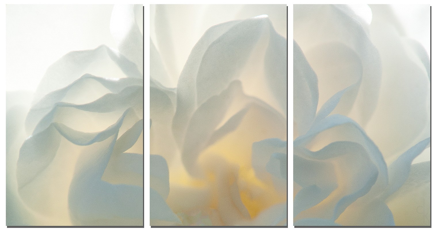 Debby Krim, White Fire Triptych
Photograph, 37 1/4 x 69 in.