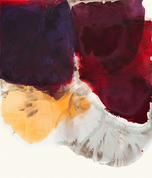 Dirk De Bruycker - Motion of 2 35 x 30 in.