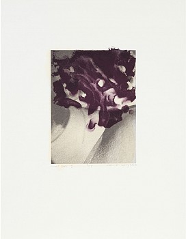 Dirk De Bruycker - Mort Bleu III 10 1/4 x 8 in.