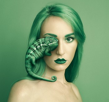 Flora Borsi - Animeyed, Chameleon 27 1/2 x 29 1/2 in.