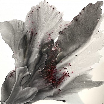 Muriel Napoli - Inflorescence 47 x 47 in.