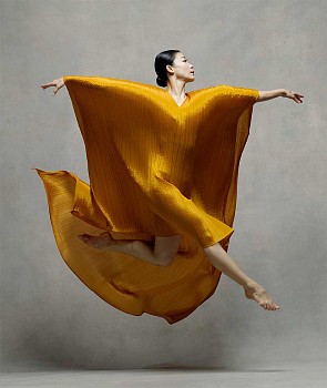Ken Browar & Deborah Ory - Xin Ying Issey Miyake 2 50 x 42 in.