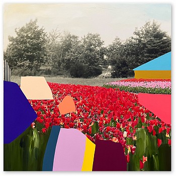 Emily Filler - Field of Tulips #2 35 x 35 in.