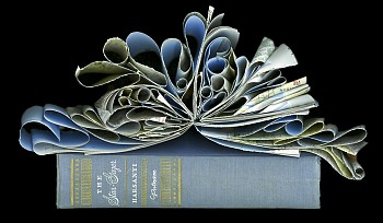 Cara Barer - Stargazer Sizes vary