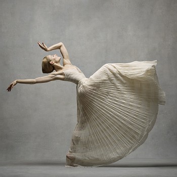 Ken Browar & Deborah Ory - Charlotte Landreau White Dior Dress 48 x 48 in.