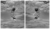 Browar Ory Marzia Mimoli diptych