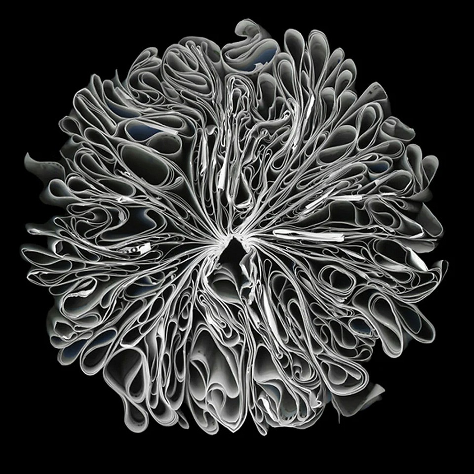 Cara Barer, Orb
Archival pigment print on paper, Sizes vary