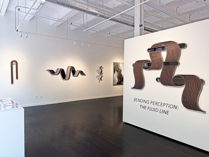 Bending Perception: The Fluid Line - Installation View