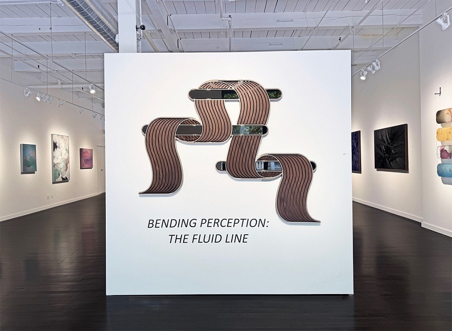 Bending Perception: The Fluid Line - Installation View